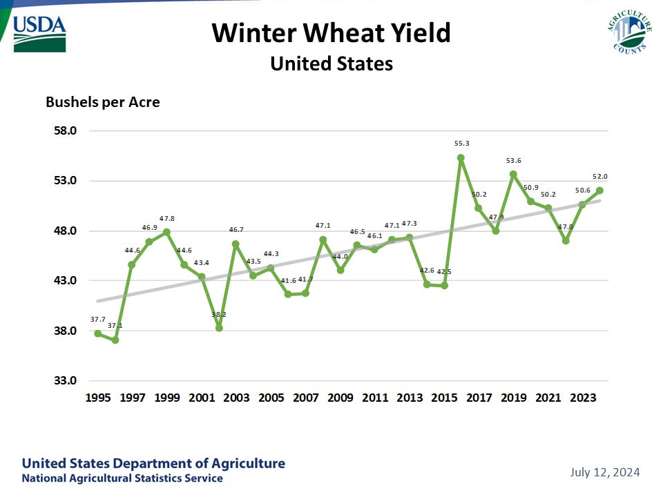 Winter Wheat: Yield by Year, US