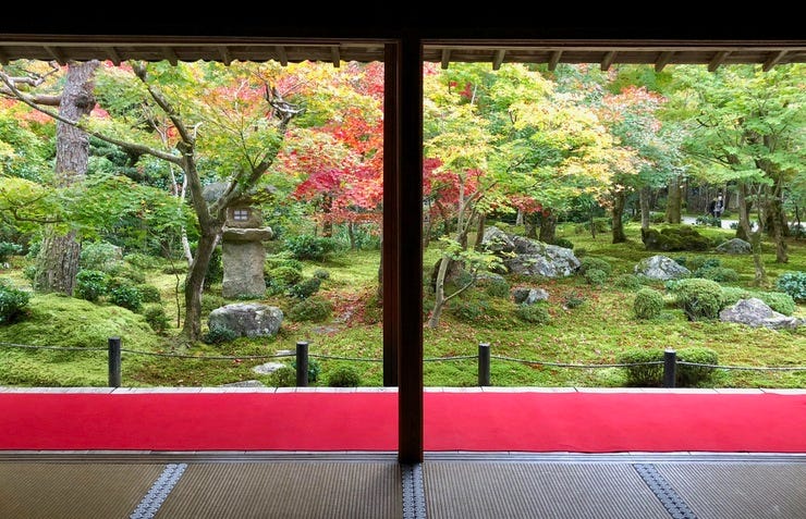 You can admire the garden's fall colors from tatami mats inside the temple