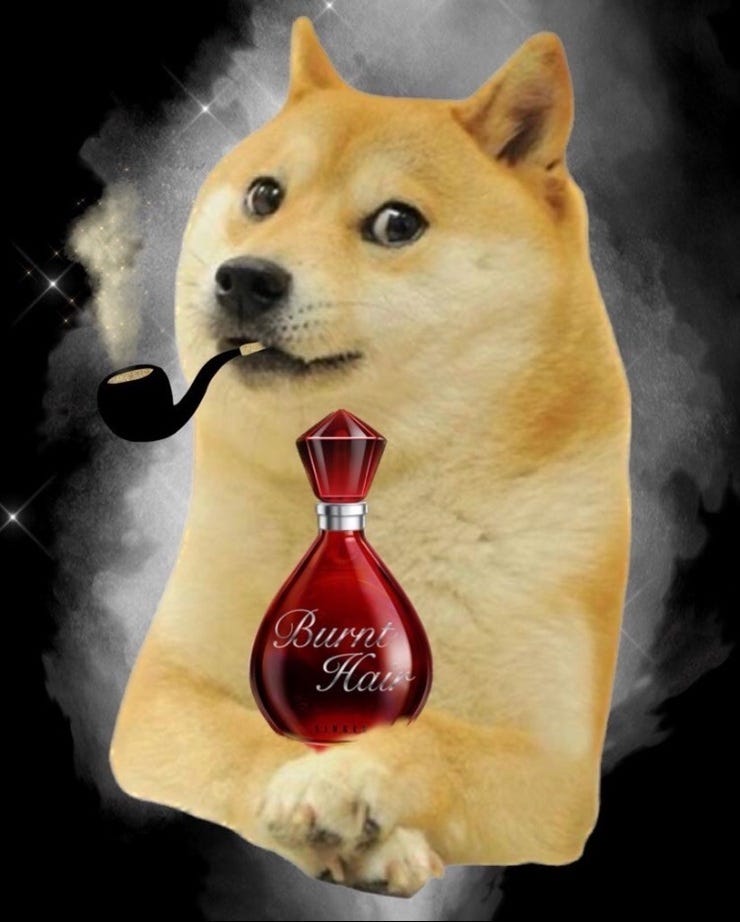 Burnt Hair settles the matter once and for all: Dogecoin is money