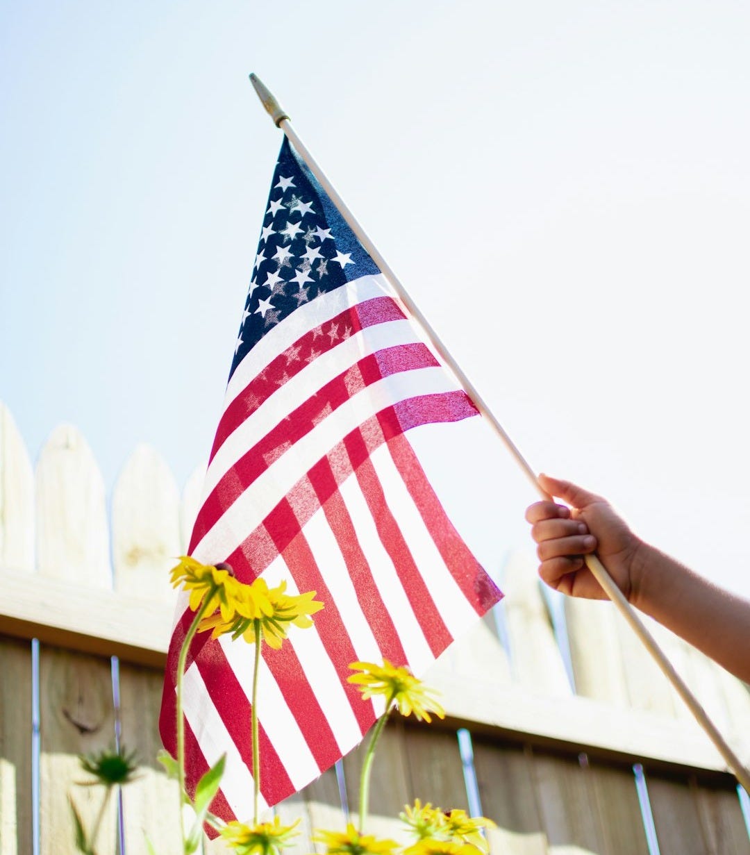 a person holding a flag a person holding a flag