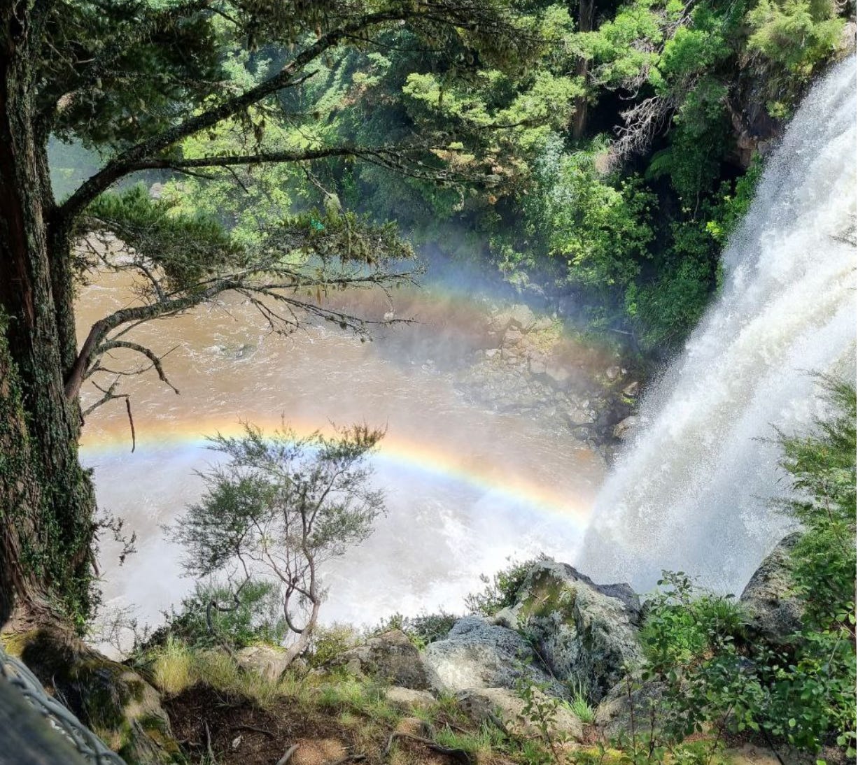 A photo view down onto a waterfall surrounded by trees and bush, with a double rainbow at the bottom in the spray of the waterfall.