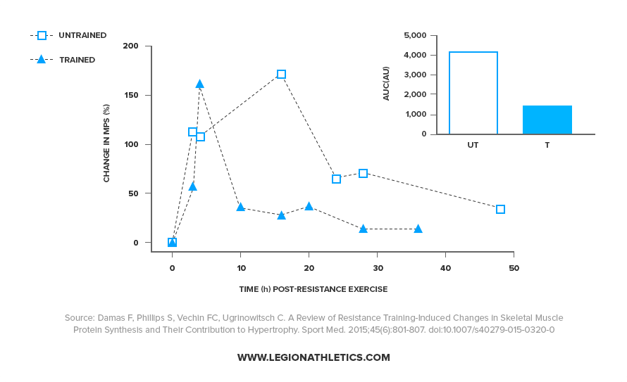 Muscle Protein Synthesis (1)