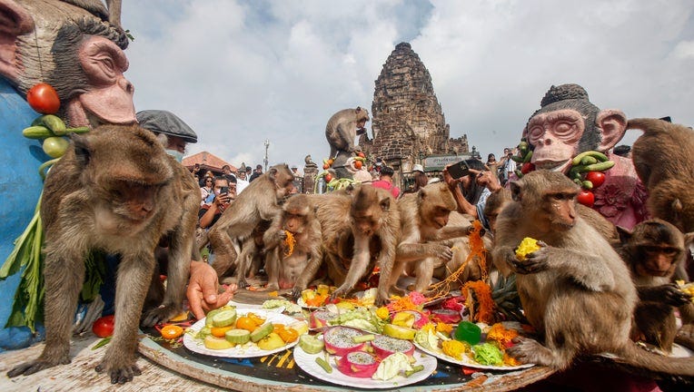 Photos: Monkeys in central Thailand mark their day with feast