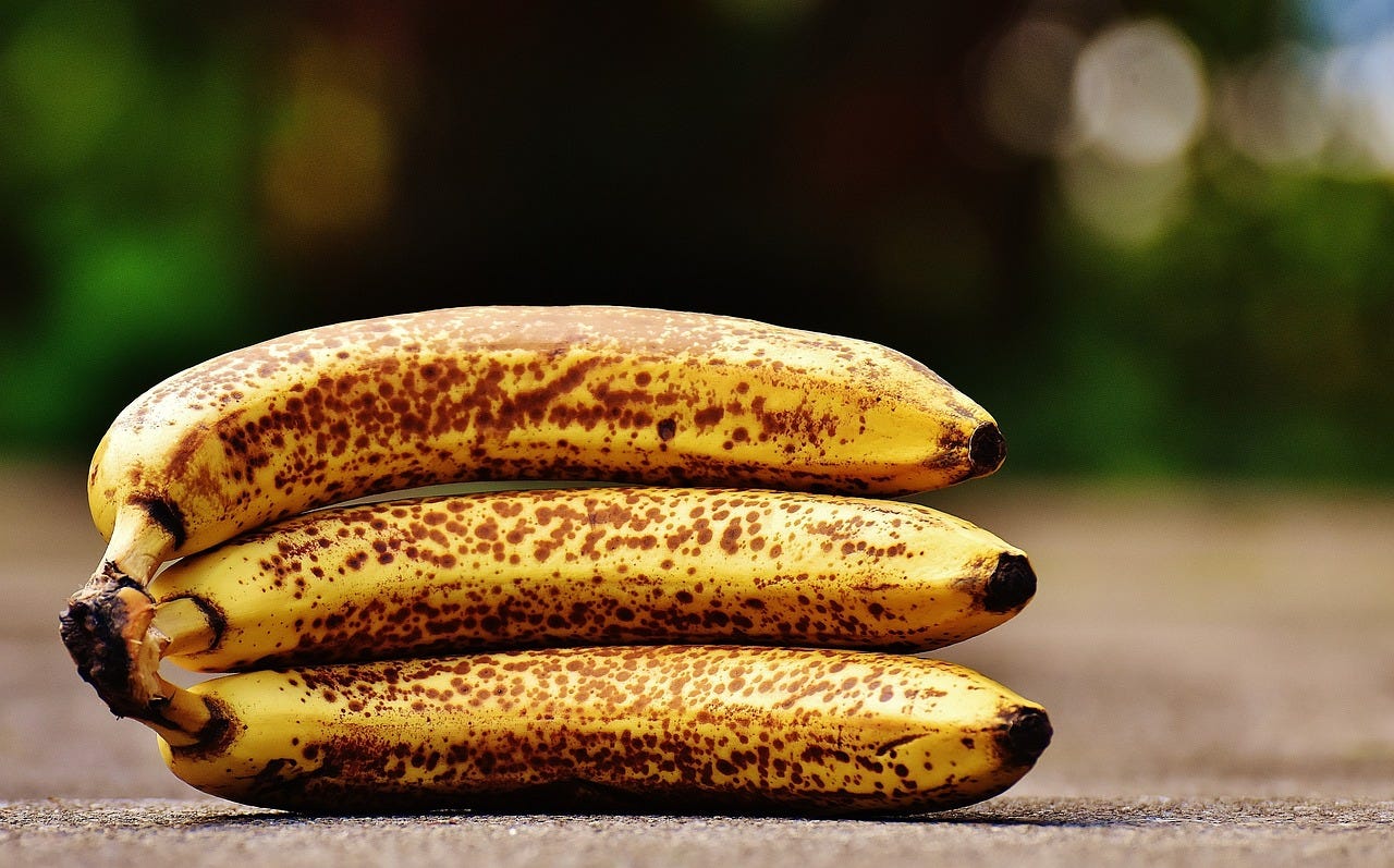 Three bananas with spotty brown skin