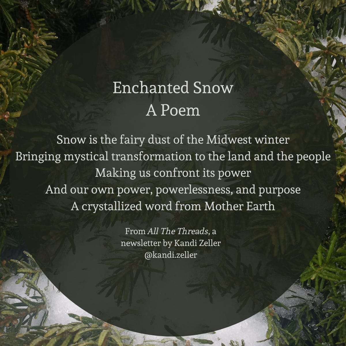 A background of a green bush, covered with patchy snow. On top of the background is a somewhat transparent black circle. On the black circle is white lettering that reads, “Enchanted Snow: A Poem…Snow is the fairy dust of the Midwest winter / Bringing mystical transformation to the land and the people / Making us confront its power / And our own power, powerlessness, and purpose / A crystallized word from Mother Earth… From All The Threads, a newsletter by Kandi Zeller @kandi.zeller"