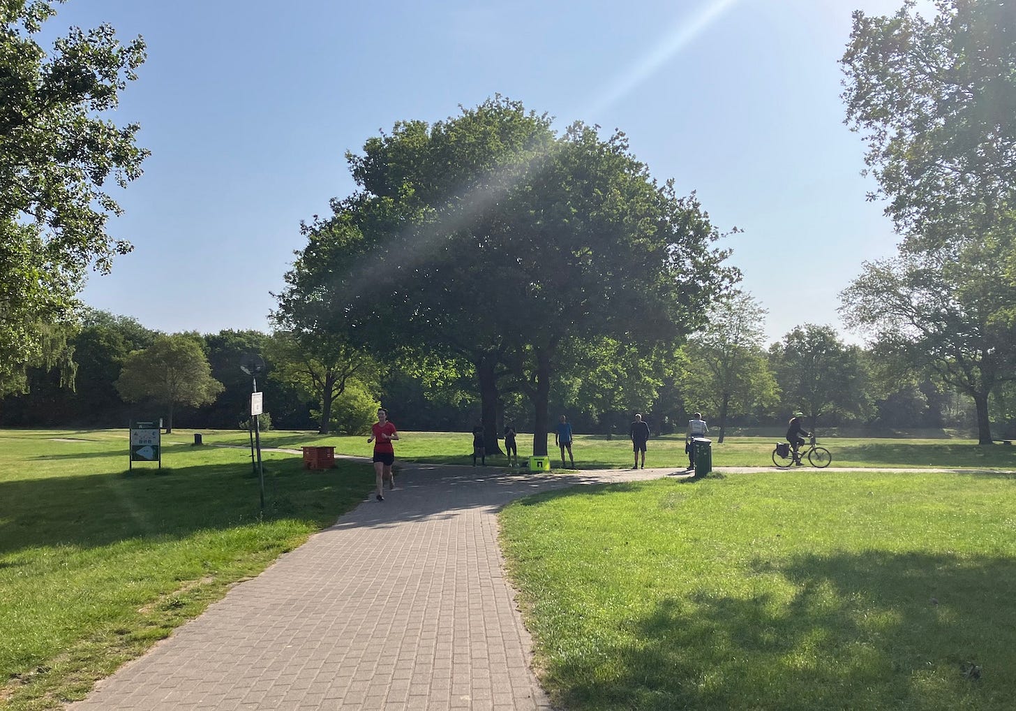Large tree marks the turnaround on a tiled path