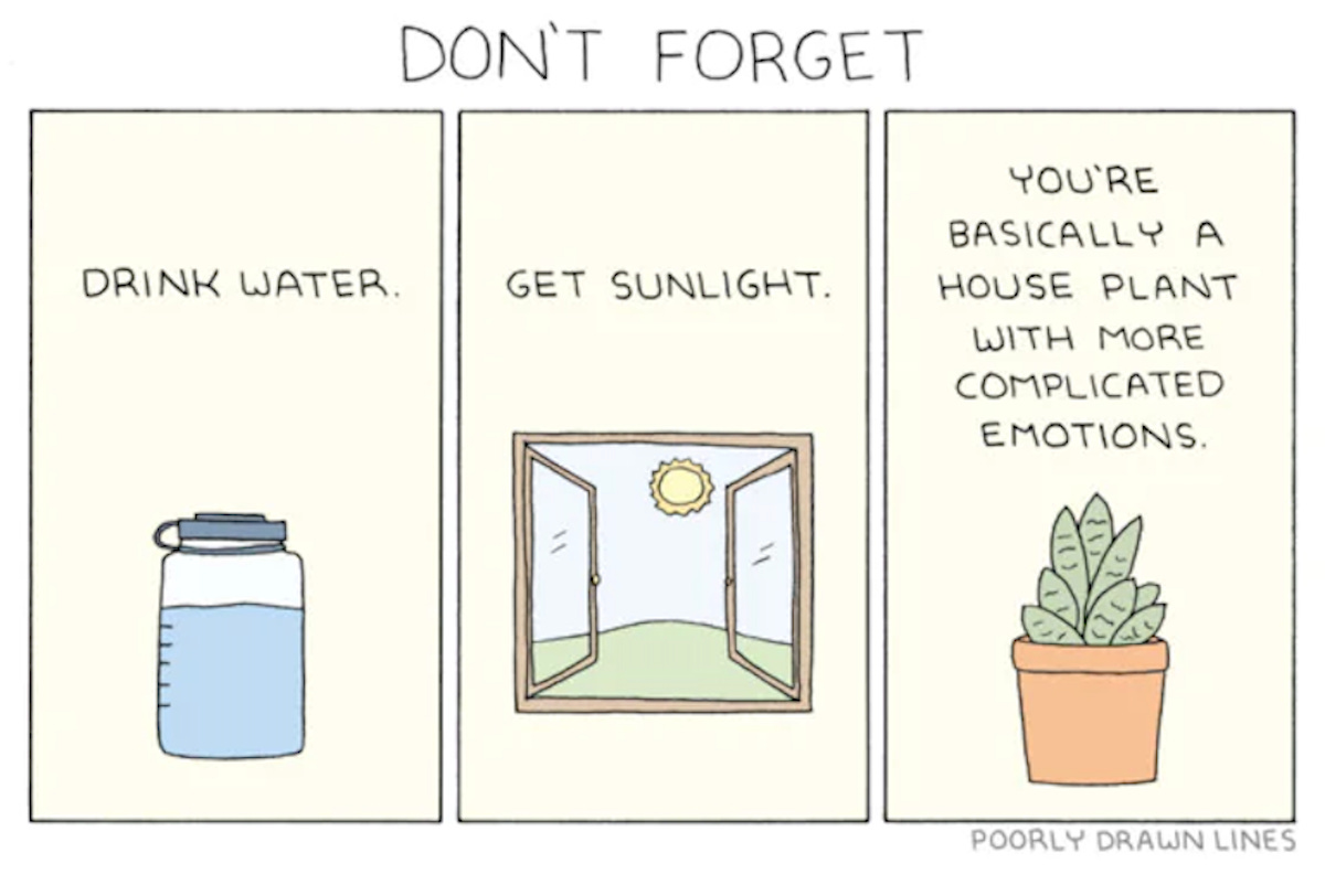 A cartoon drawing in three sections. At the top of the image, text reads "Don't forget." The first drawing is of a full reusable water bottle. Text reads "Drink water." The second image is of an open window looking out to grass and the sun. Text reads "Get sunlight." The third image is of a plant in a pot. Text reads "You're basically a house plant with more complicated emotions." Under the images is the artist credit, Poorly Drawn Lines.