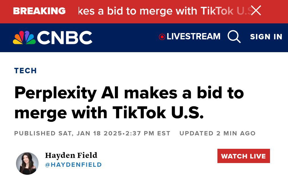 Perplexity makes a bit to merge with TikTok