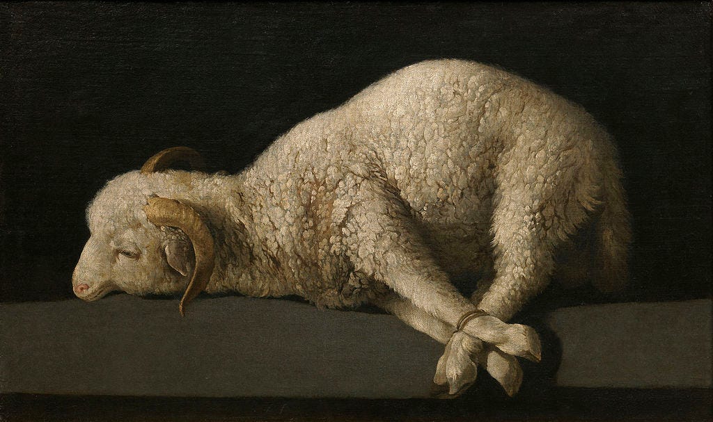 A 17th century oil painting of a slaughtered lamb whose limbs are tied together