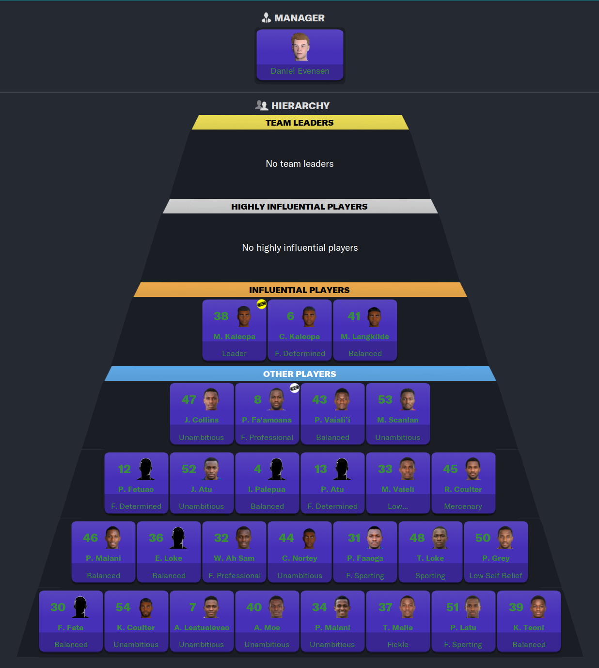 Football Manager 2023 Heirarchy