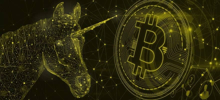 The Rise of the UNICOIN- What are the Possibilities and Risks?