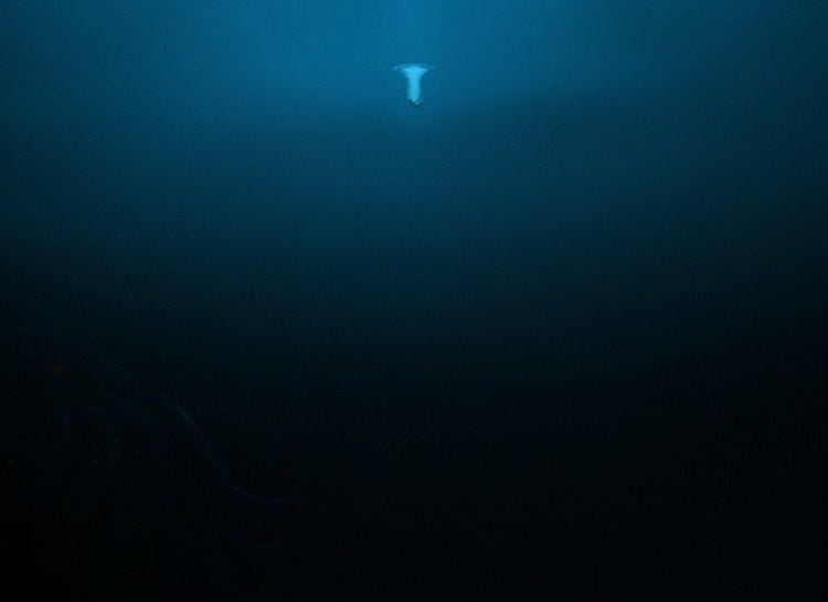 19 Pictures That Prove You Definitely Have Thalassophobia (Fear Of The Sea)  | Scary ocean, Ocean pictures, Terrifying pictures