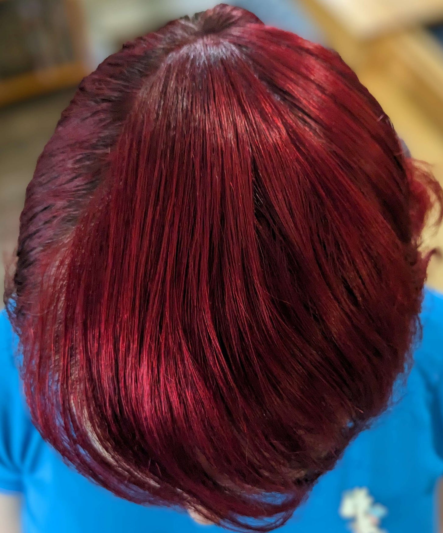 A picture of the author's crown, two and a half years into estrogenic HRT. The hair is full, dense, and completely covers the author's crown, to the point of obscuring most of her face at this angle, with bangs.