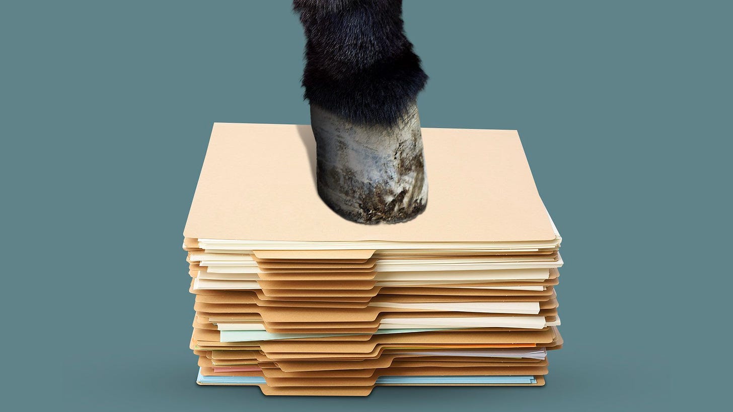 Illustration of a donkey hoof on a pile of file folders