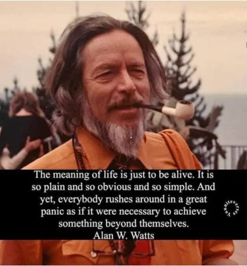 The meaning of life is just to be alive. It is so plain and so obvious and so simple. And yet, everybody rushes around in a great panic as if it were necessary to achieve something beyond themselves. - Alan W. Watts