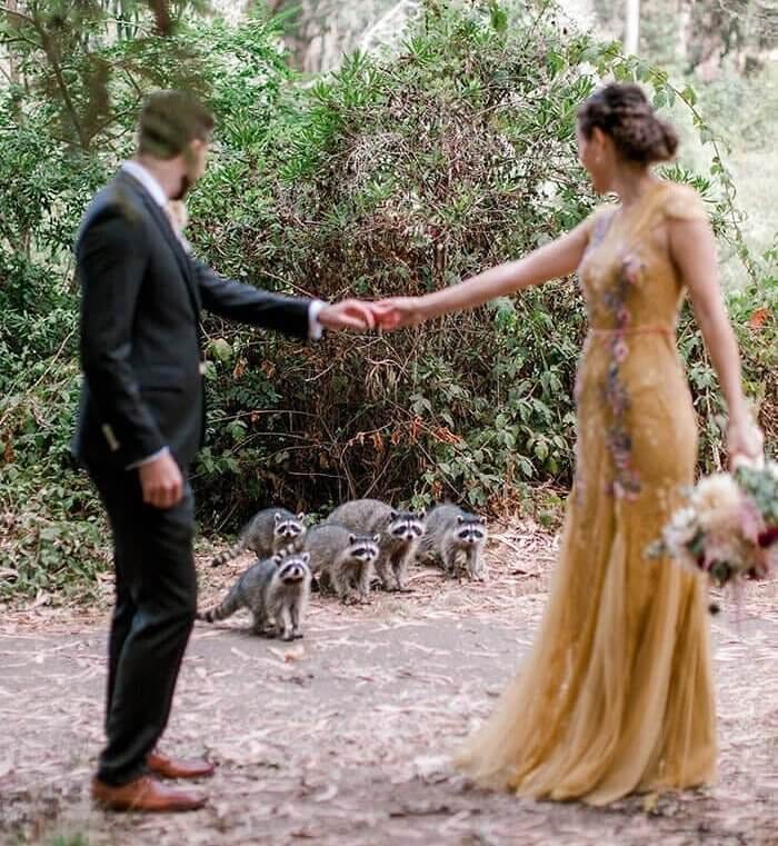 Tennessee state wedding guests