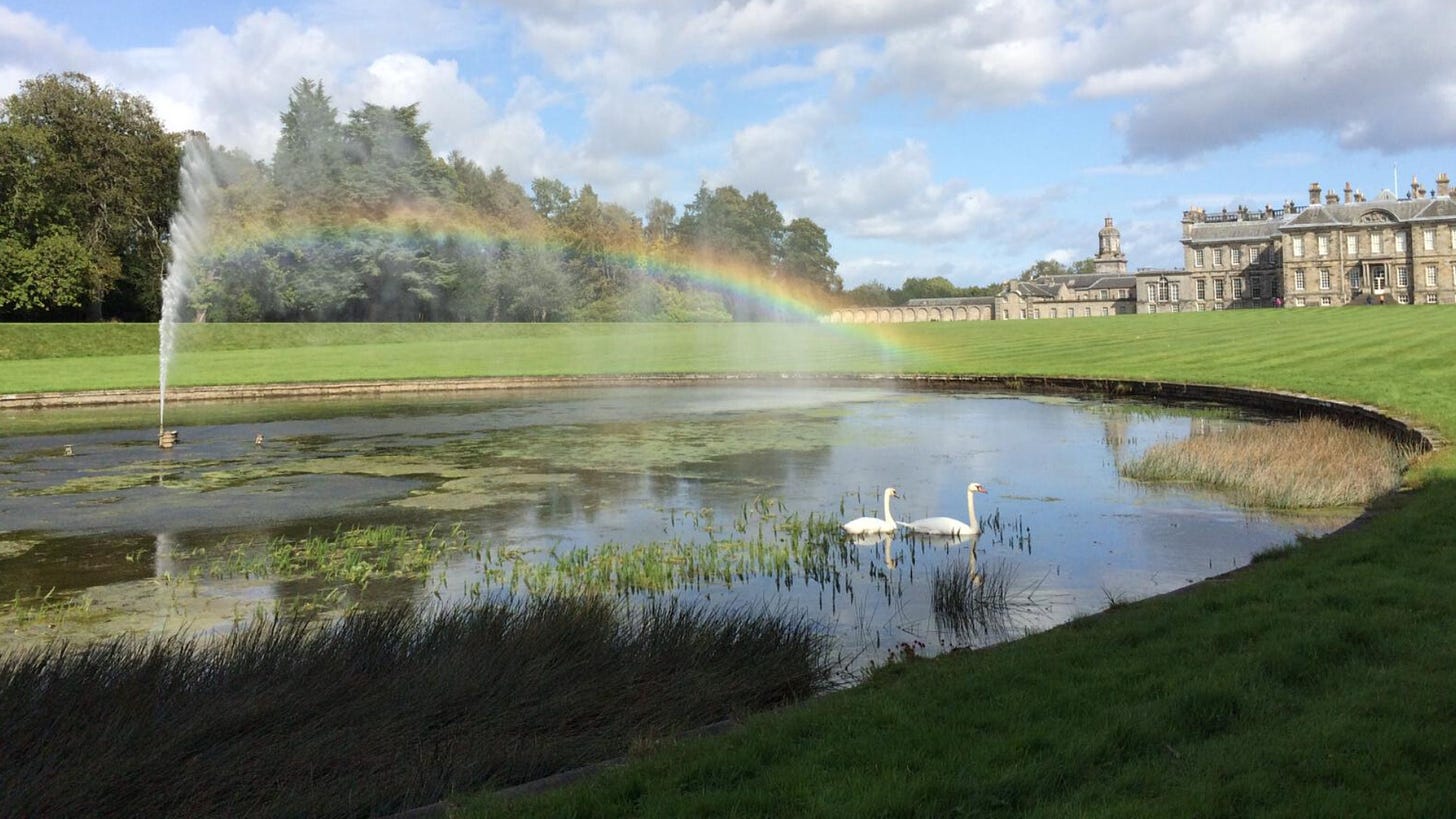 Pond with two swans and rainbow with Hopetoun House in the background