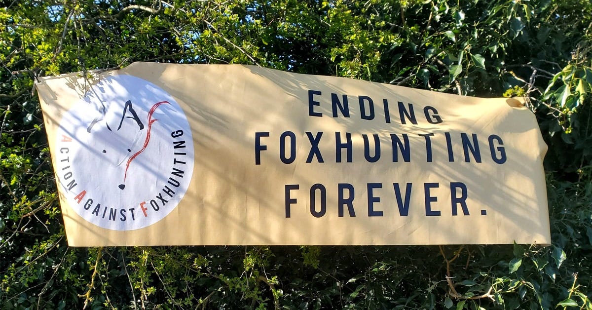 A yellow banner with the Action Against Foxhunting logo on the left and the slogan "Ending Foxhunting Forever" on the right.