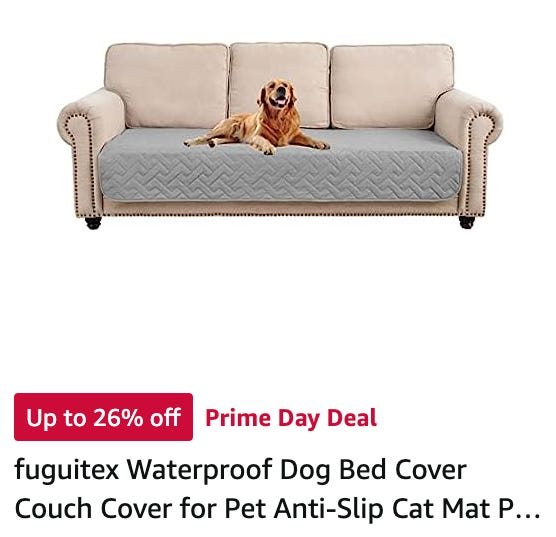 Ad for a dog bed cover for the couch; a Golden Retriever is photoshopped sitting on the center. He looks small.
