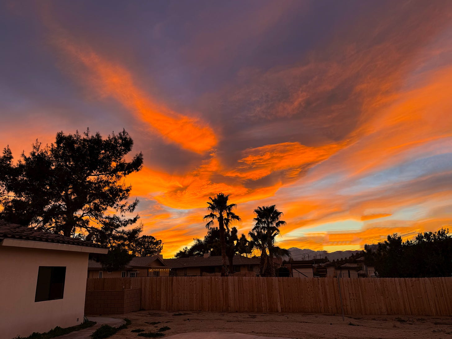 Low clouds glow orange, yellow and purple in a stunning sunset as seen from a backyard. Two palm trees are silhouetted against the sky.