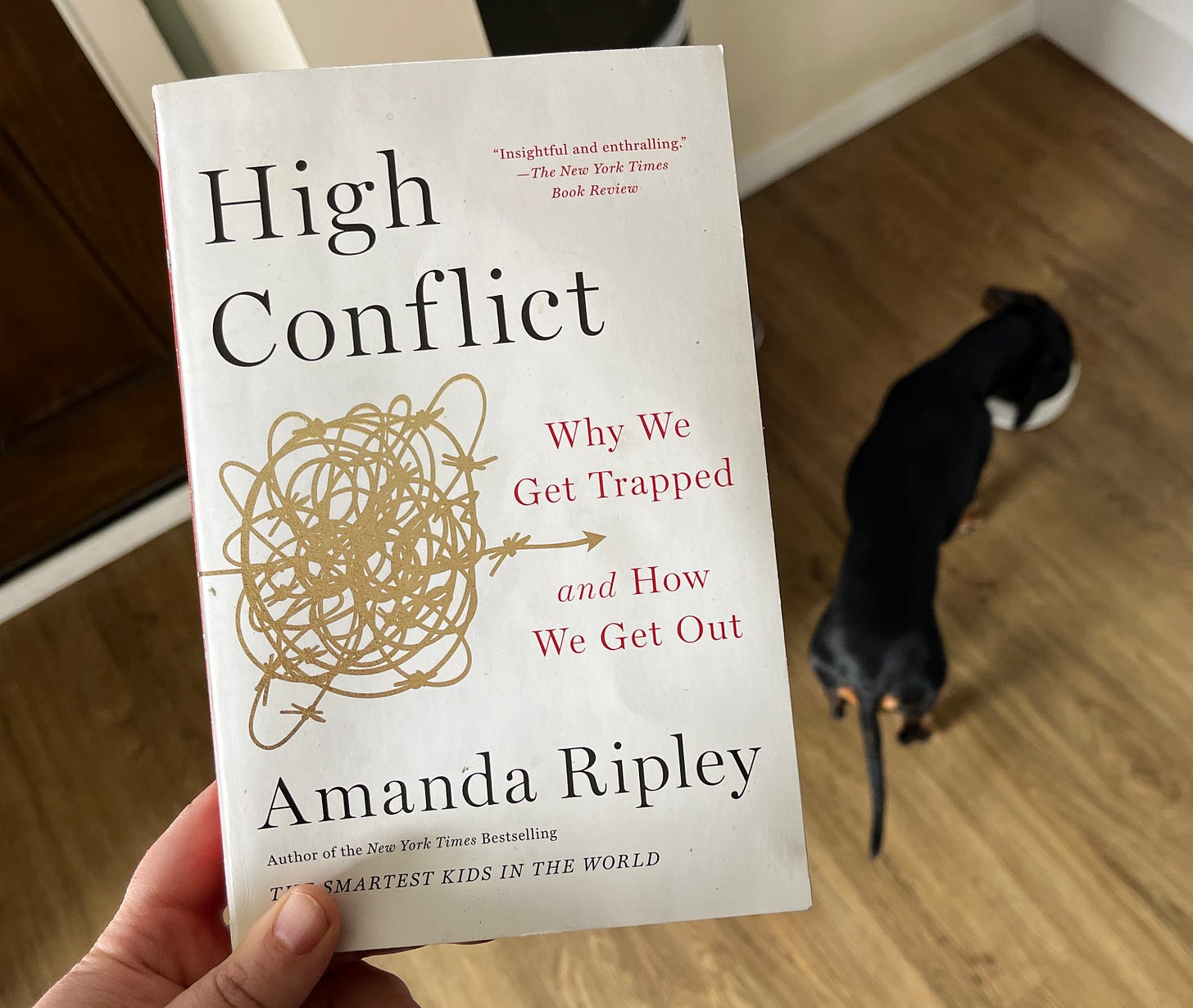 In the foreground a hand holds the book High Conflict by Amanda Ripley. In the background a black dachshund eats her breakfast.