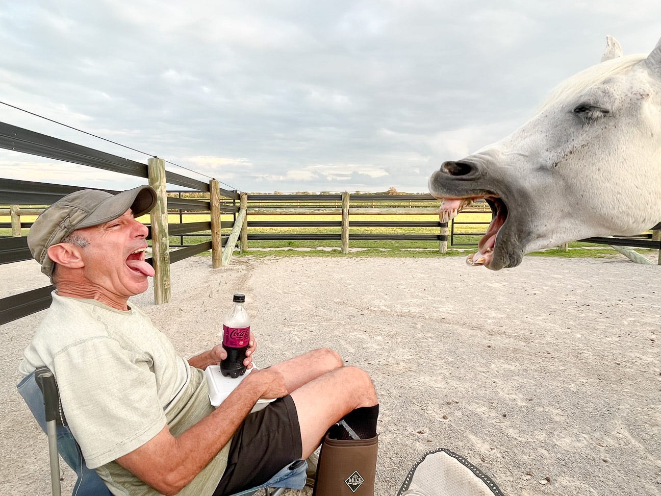 horse and person yawning at each other