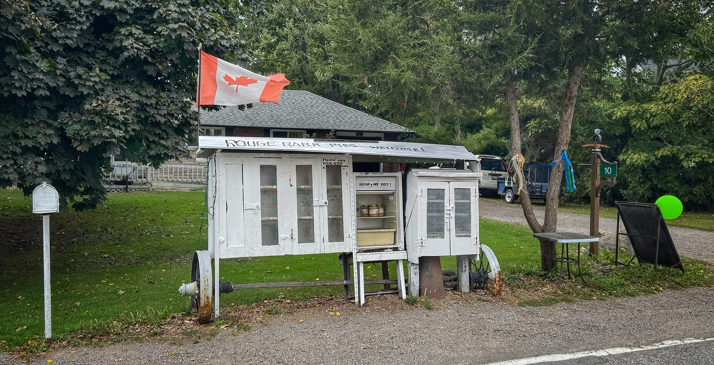 A head-on shot of the stand taken from across the road. We see the mailbox, the flag, and the wagon wheels as before. We also see that the stand is made up of three compartments with screened doors and a central open set of shelves with a few jars on them. Behind the stand in the background there is a mid-century Bungalow and its driveway.