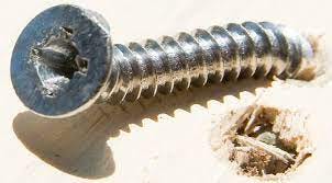 Can You Hammer in a Screw? (The Complete Guide)