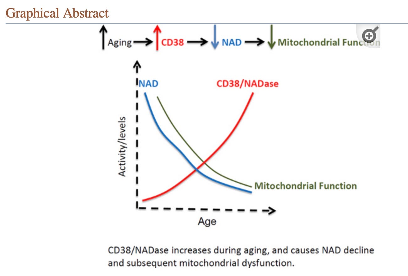 graphical abstract from PMC4911708 showing that as CD38 levels increase, NAD levels decline which parallels the decline in mitochondrial function