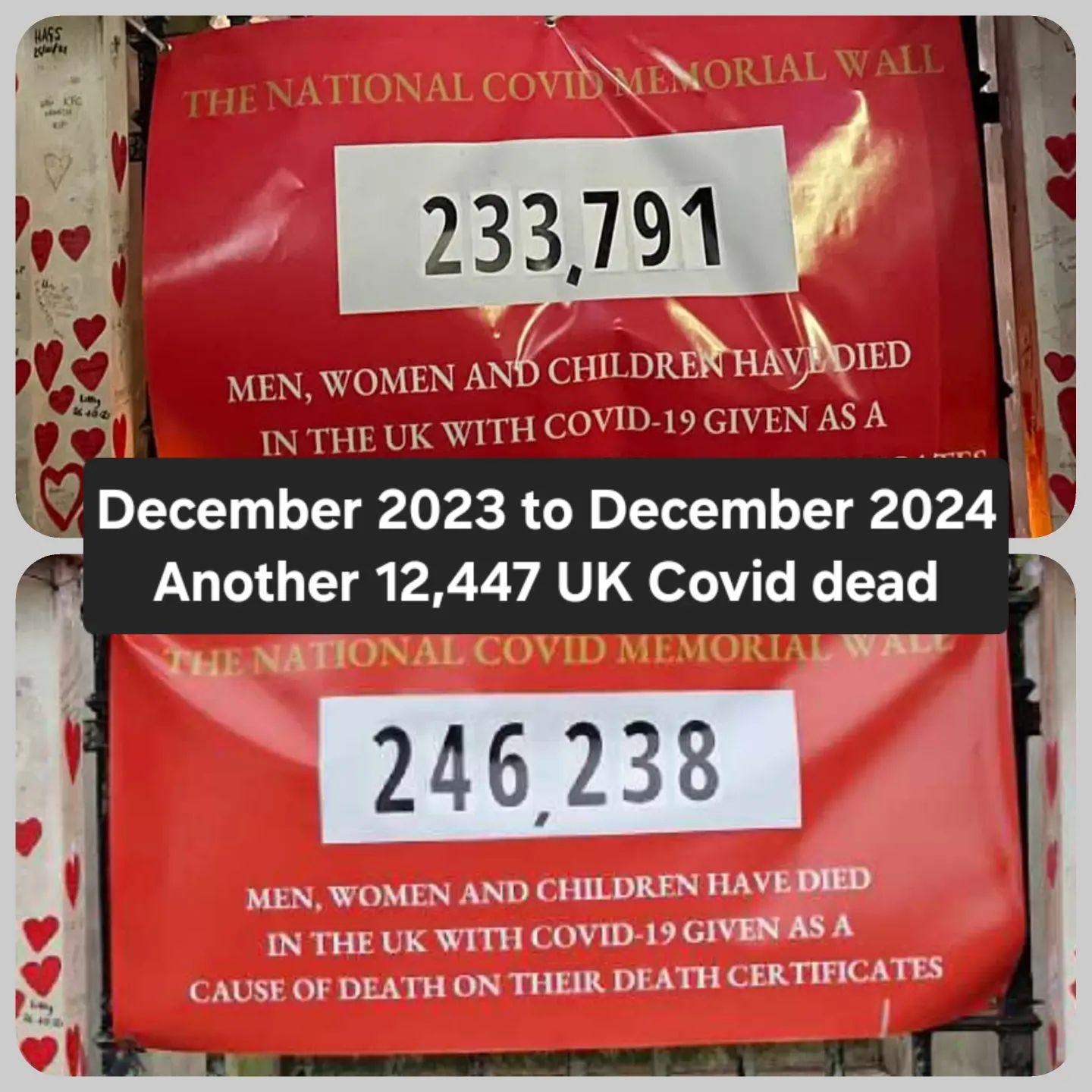 An Image of The National Covid Memorial Wall in London showing red hearts painted on the wall.  There are two posters hung.  First is saying up to December 2023, 233791 men, women and children died with COVID-19 written as a cause of death on their death certificate. The poster below is the same but 2024 updated now to 246238.  In the centre is written December 23-24 another 12447 UK Covid dead.