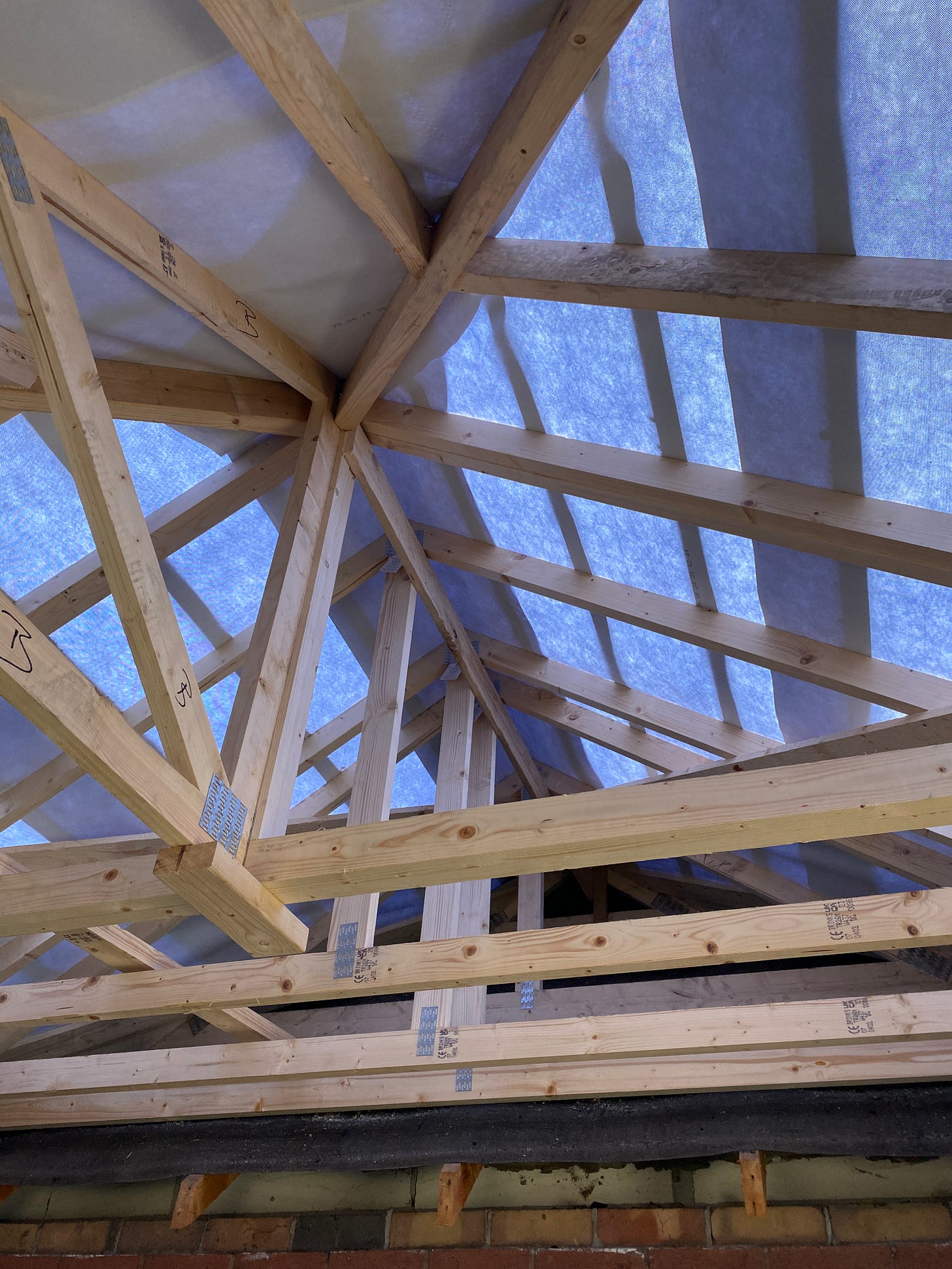 inside of extension with roof trusses covered in felt