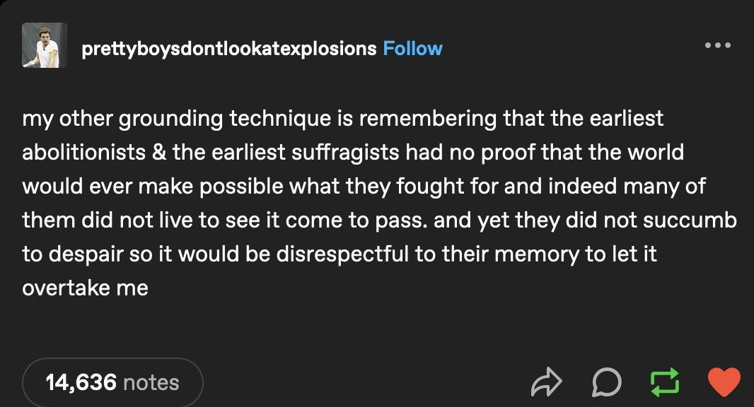 tumblr post screenshot reads: "my other grounding technique is remembering that the earliest abolitionists & the earliest suffragists had no proof that the world would ever make possible what they fought for and indeed many of them did not live to see it come to pass. and yet they did not succumb to despair so it would be disrespectful to their memory to let it overtake me" by user prettyboysdontlookatexplosions.