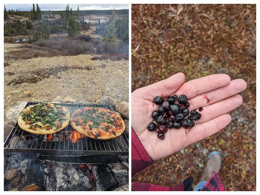 photo pair of campfire pizza duo and dark berries in a hand
