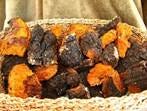 Chaga: The “Mushroom of Immortality” - Evolution Health & Fitness