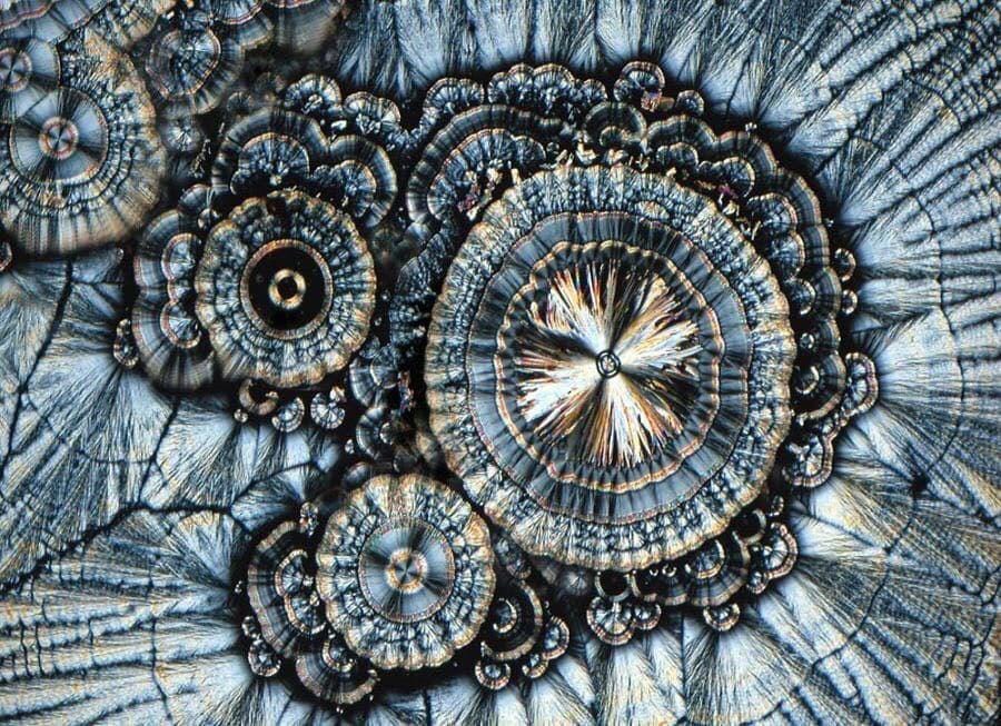 Vitamin C under the microscope. : r/interestingasfuck