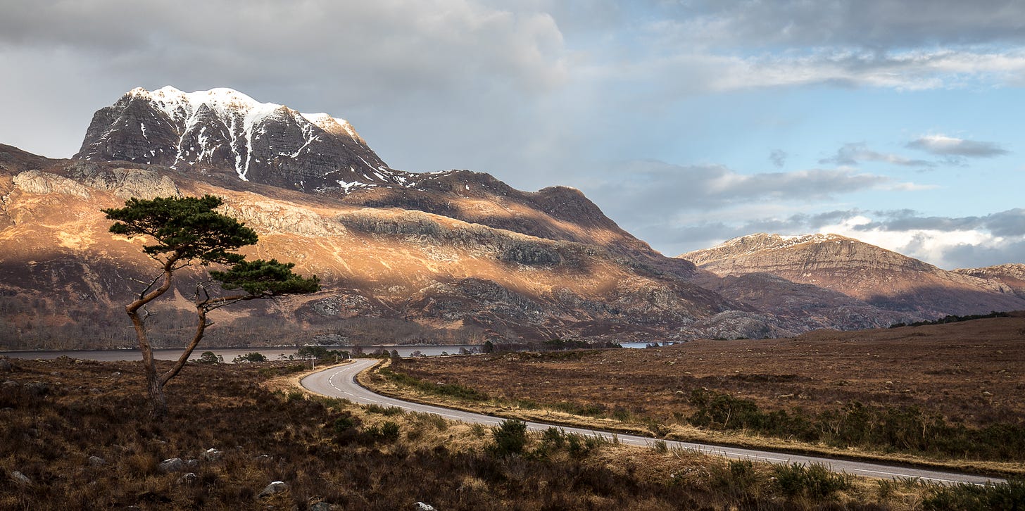 A lone Scots pine with Loch Maree and a snow dusted mountain, Slioch, in the background