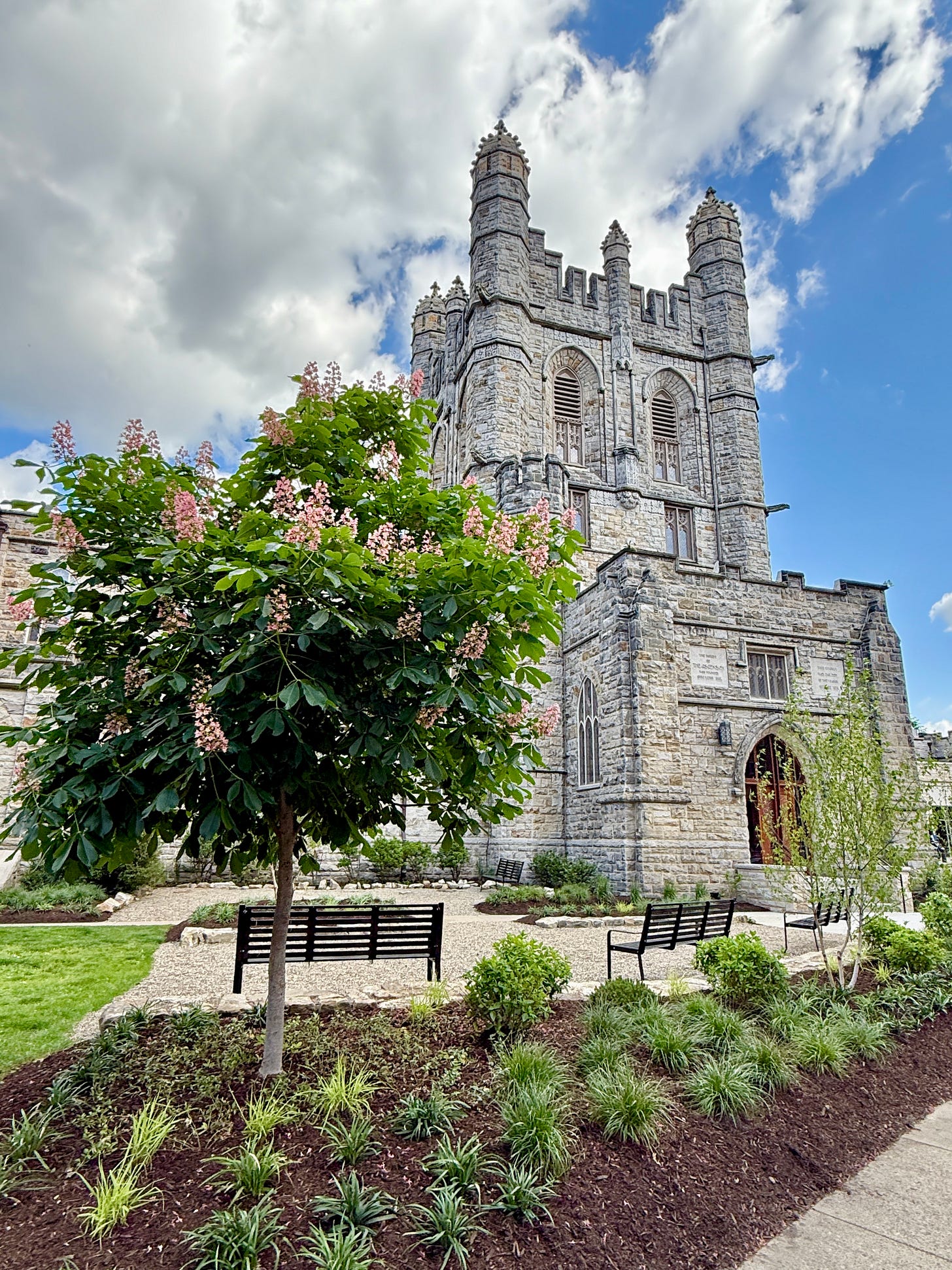 The flowering chestnut tree was made part of the courtyard design since it was an existing tree. When you can incorporate exciting planting, it helps a new garden to look older than it is. The flowering chestnut tree was made part of the courtyard design since it was an existing tree. When you can incorporate exciting planting, it helps a new garden to look older than it is.