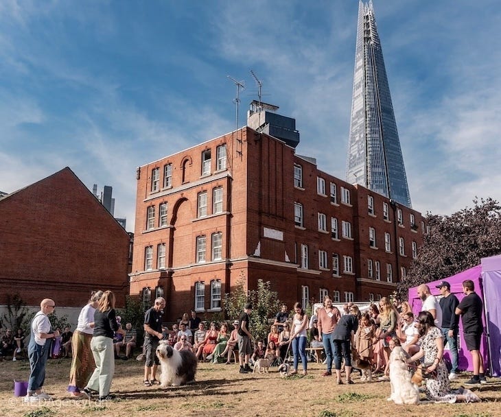 A dog show in Bermondsey, photobombed by the Shard