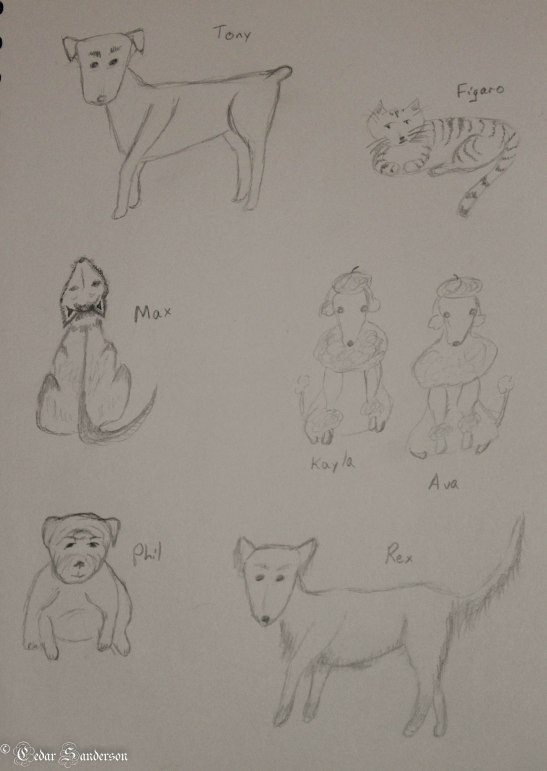 Dog sketches