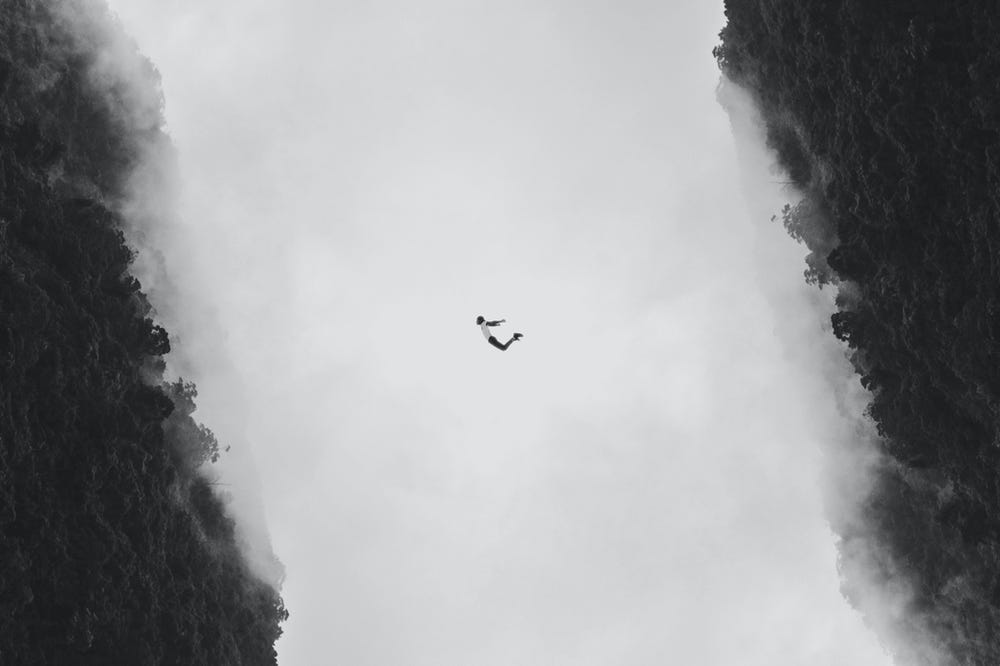 A person suspended in the air between two mirrored forest landscapes.