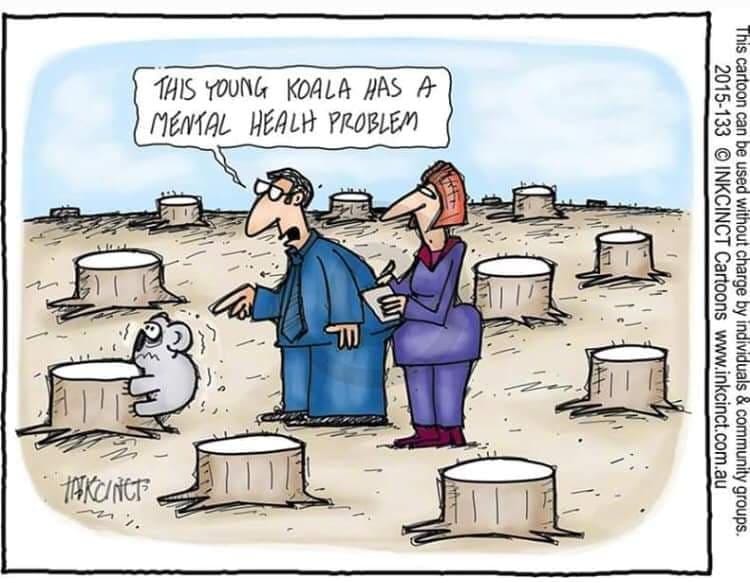 Cartoon of two people staring at a koala clinging to dead tree stump. Speech bubble says 'This young koala has a mental health problem.'