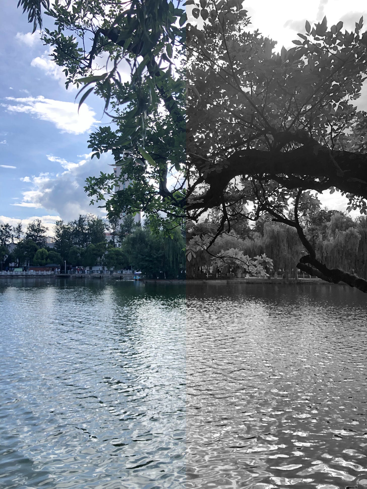 Colors on the Other Side A Collection of Poetry