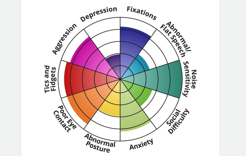 Results of an autism spectrum test showing a pie chart with each wedge a different color of the rainbow, some larger others smaller. Categories include Aggression, Depression, Tics & Fidgets, Poor Eye Contact, Noise Sensitivity, and others.