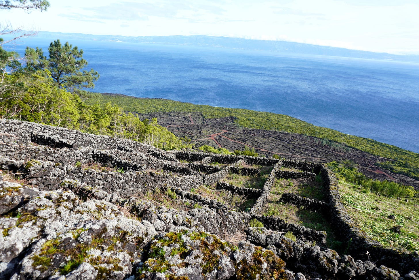 Currais near Prainha, Pico island, Azores. Photo (C) Simon J Woolf