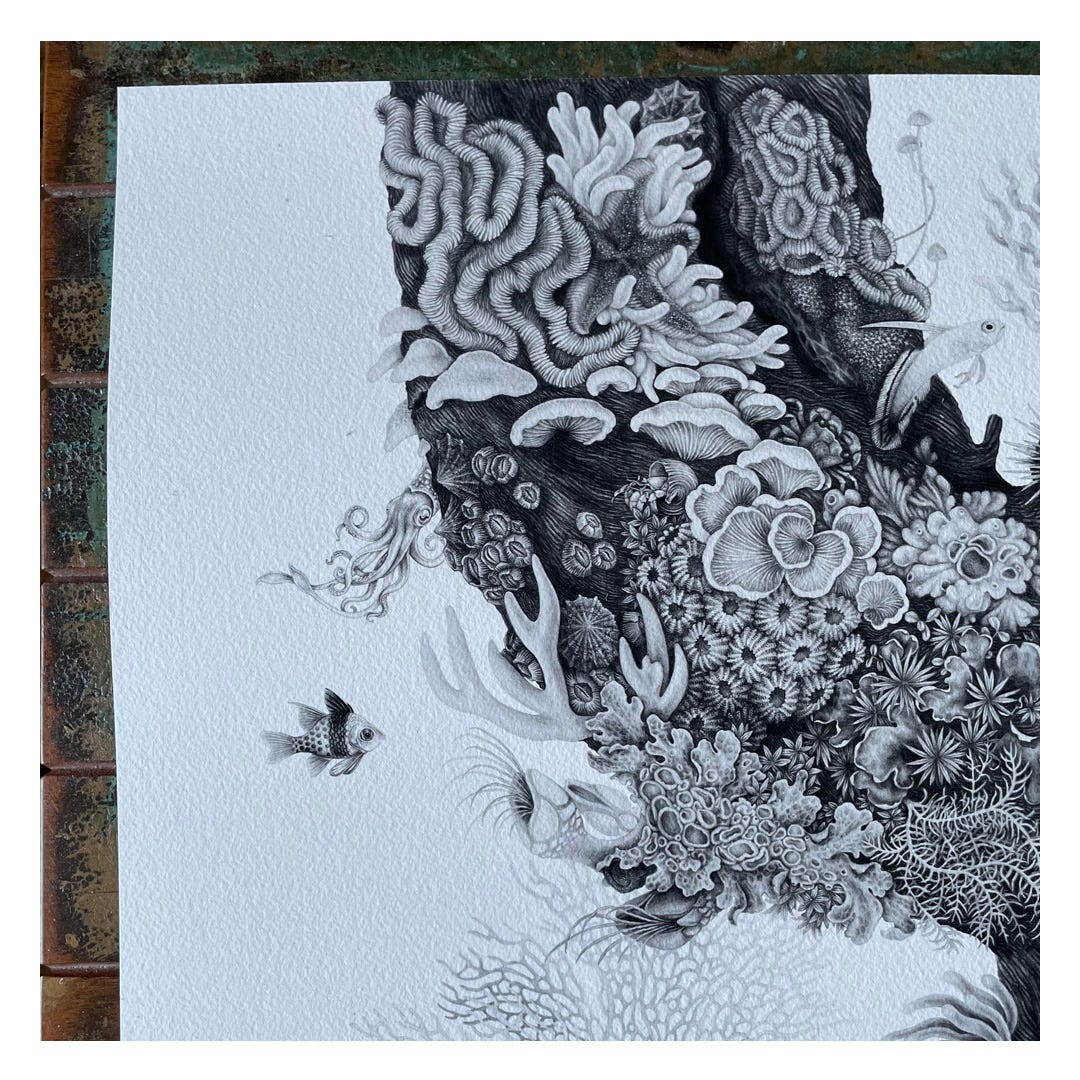 black and white print of the coral reef illustration featured at the beginning of this post