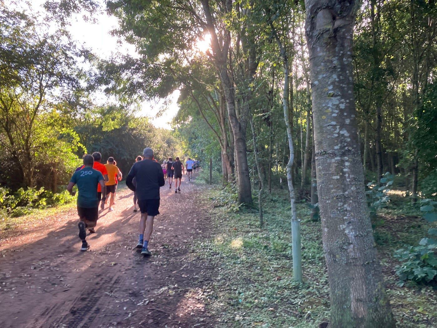 Trees line the wide path as runners move along it