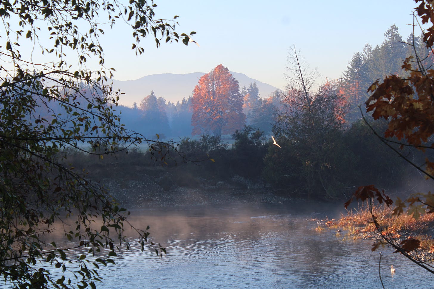 River with beautiful fall colors and mountains in foggy haze