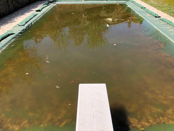 Pool Closed With Dirt On Top Of The Towel Stock Photo - Download Image Now  - Dirty, Swimming Pool, Trampoline - Equipment - iStock