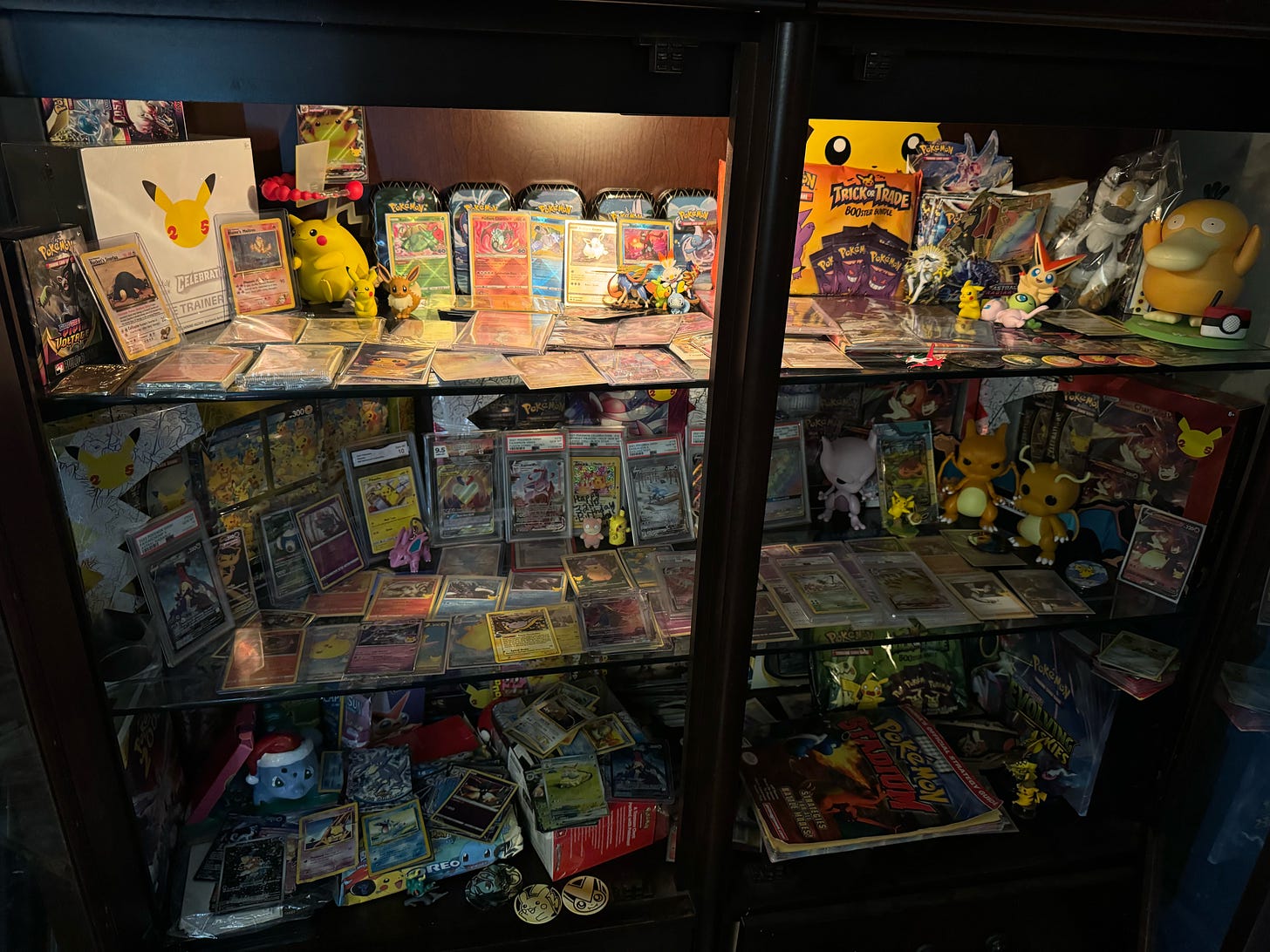 Jacob has an impressive Pokémon collection, with cards, figures, guides, and more