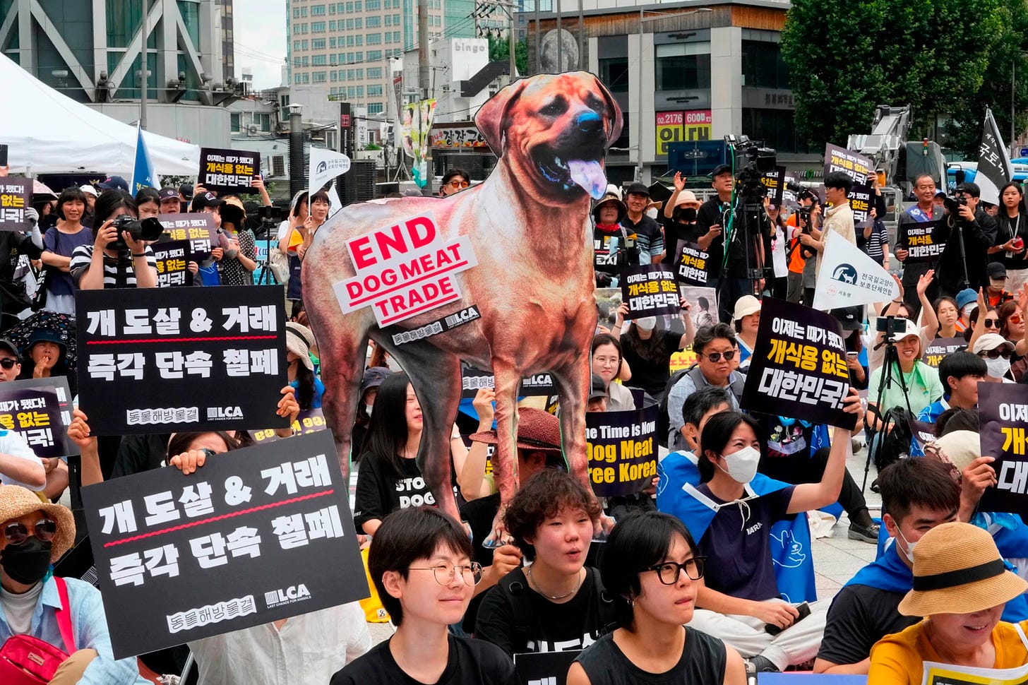 Hundreds of people with signs protesting against the Dog meat trade.